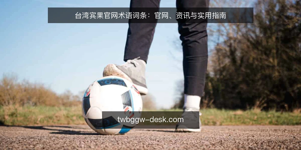 台湾宾果官网术语词条：官网、资讯与实用指南 — 选型判断标准 配图